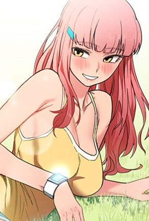 钢之炼金术师 封面